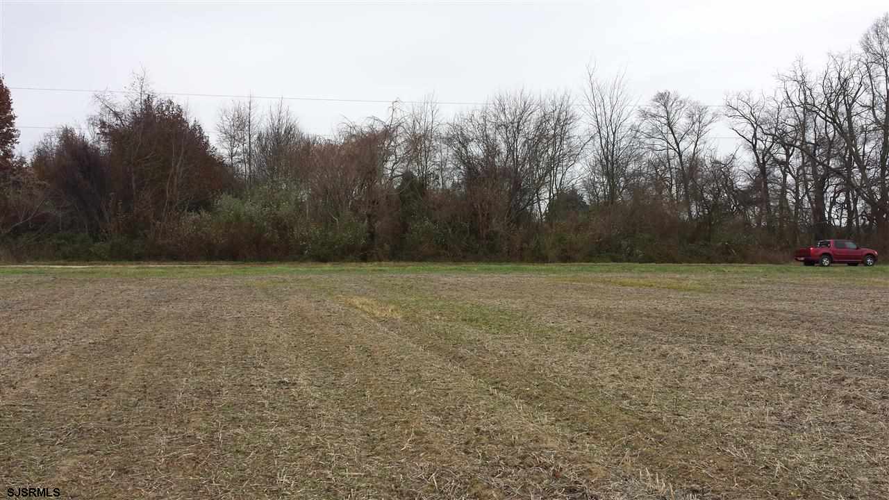 a view of a field with trees in the background