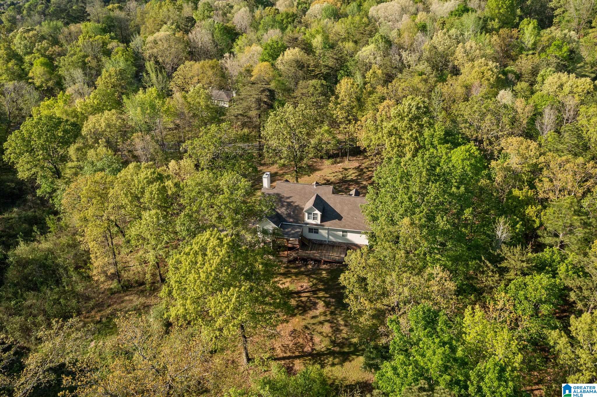6050 Coleman Lake Road McCalla, AL 35111 - Photo 51 of 54