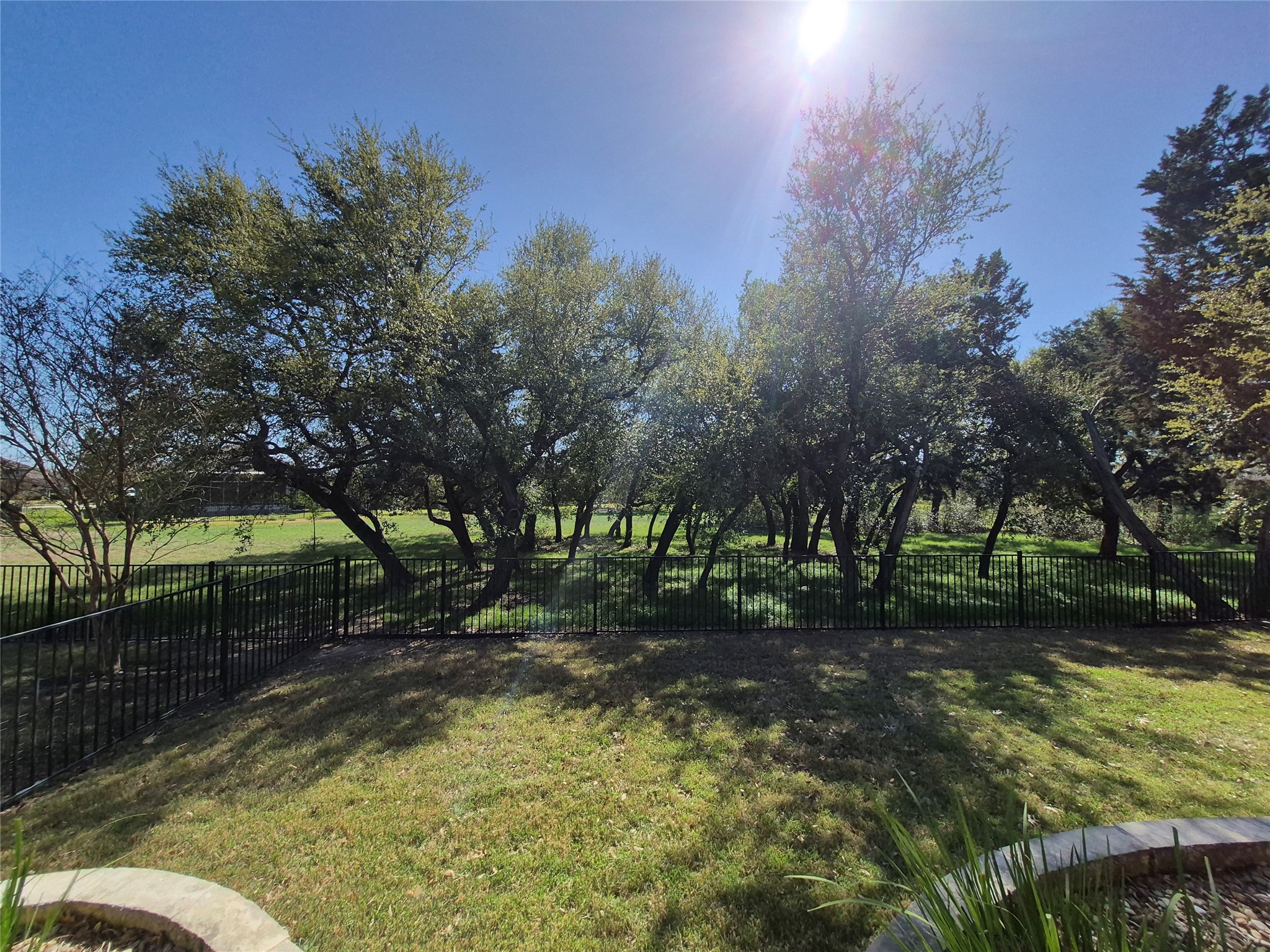108 Calhoun Lane Georgetown, TX 78633 - Photo 25 of 27 View of yard
