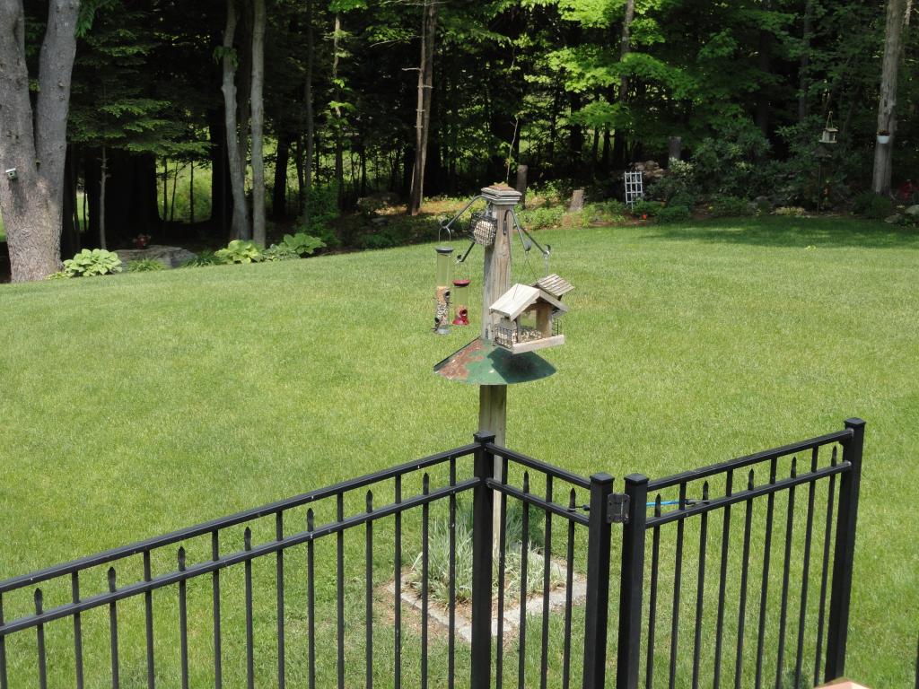 14 Deer Run Road North Hampton, NH 03862 - Photo 25 of 34