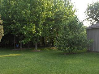 2428 Samaria Road Temperance, MI 48182 - Photo 8 of 16 766820-7.JPG