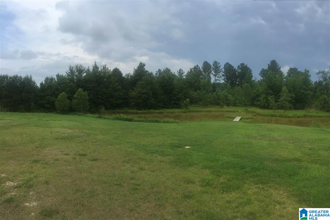 457 Hunters Xing Road Odenville, AL 35120 - Photo 4 of 7