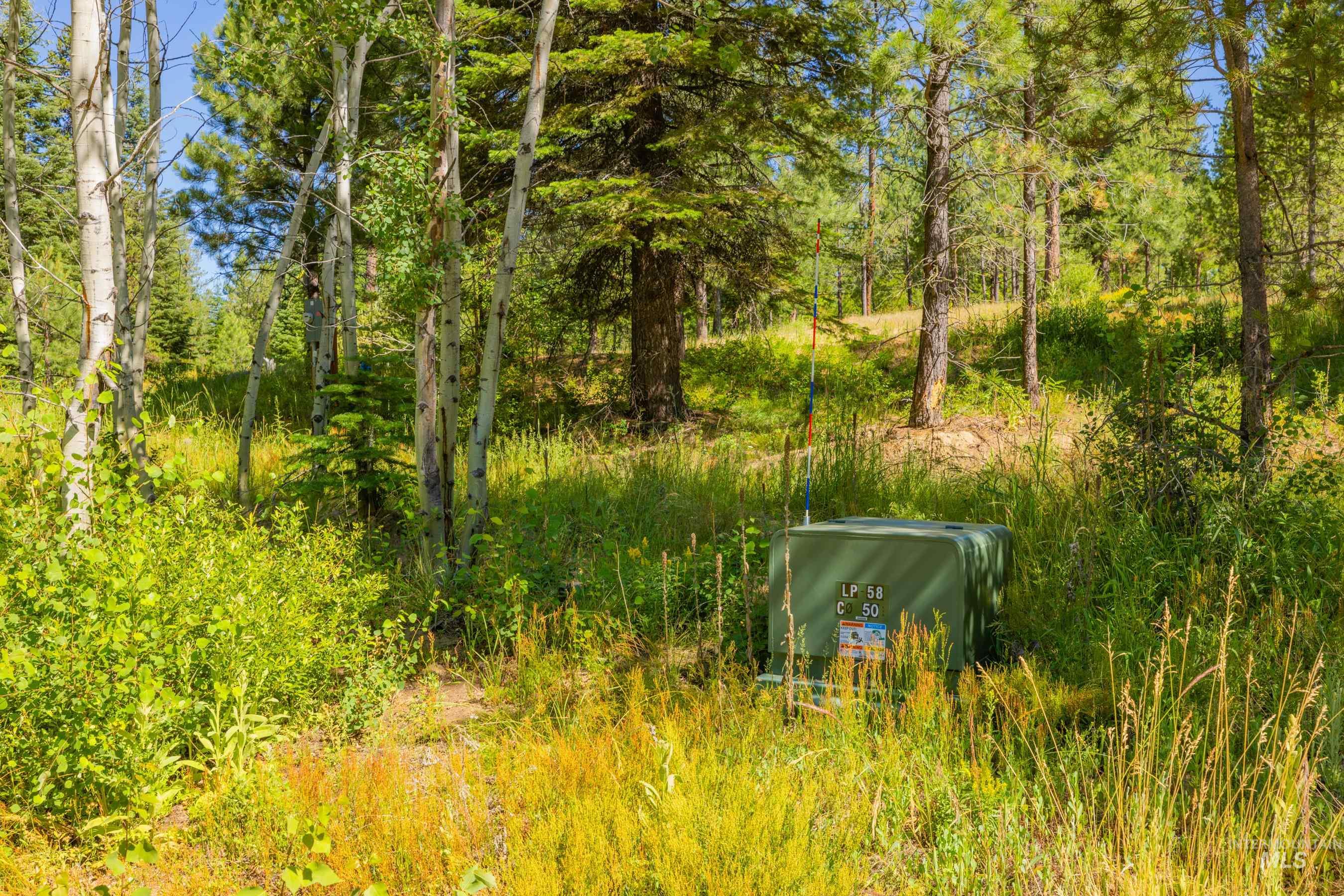 151 Timber Haven Place Cascade, ID 83611 - Photo 35 of 41