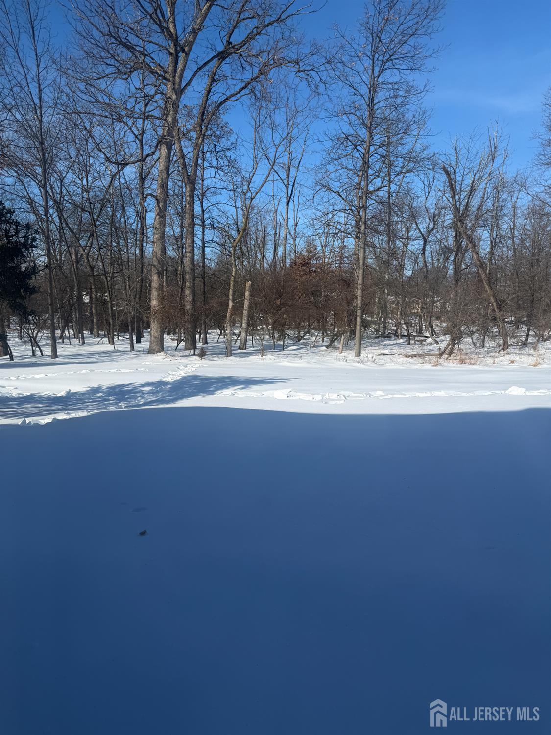 176 Nebula Road Piscataway, NJ 08854 - Photo 3 of 22 a view of a yard with a snow on the road