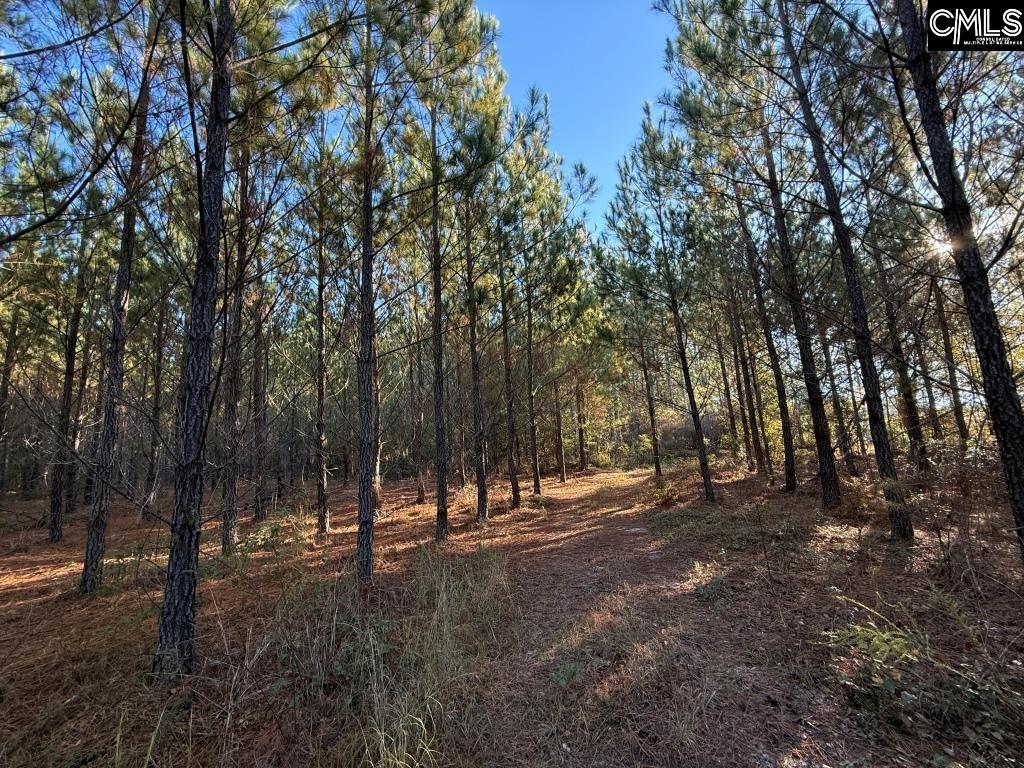 Fairview Road Leesville, SC 29070 - Photo 11 of 12