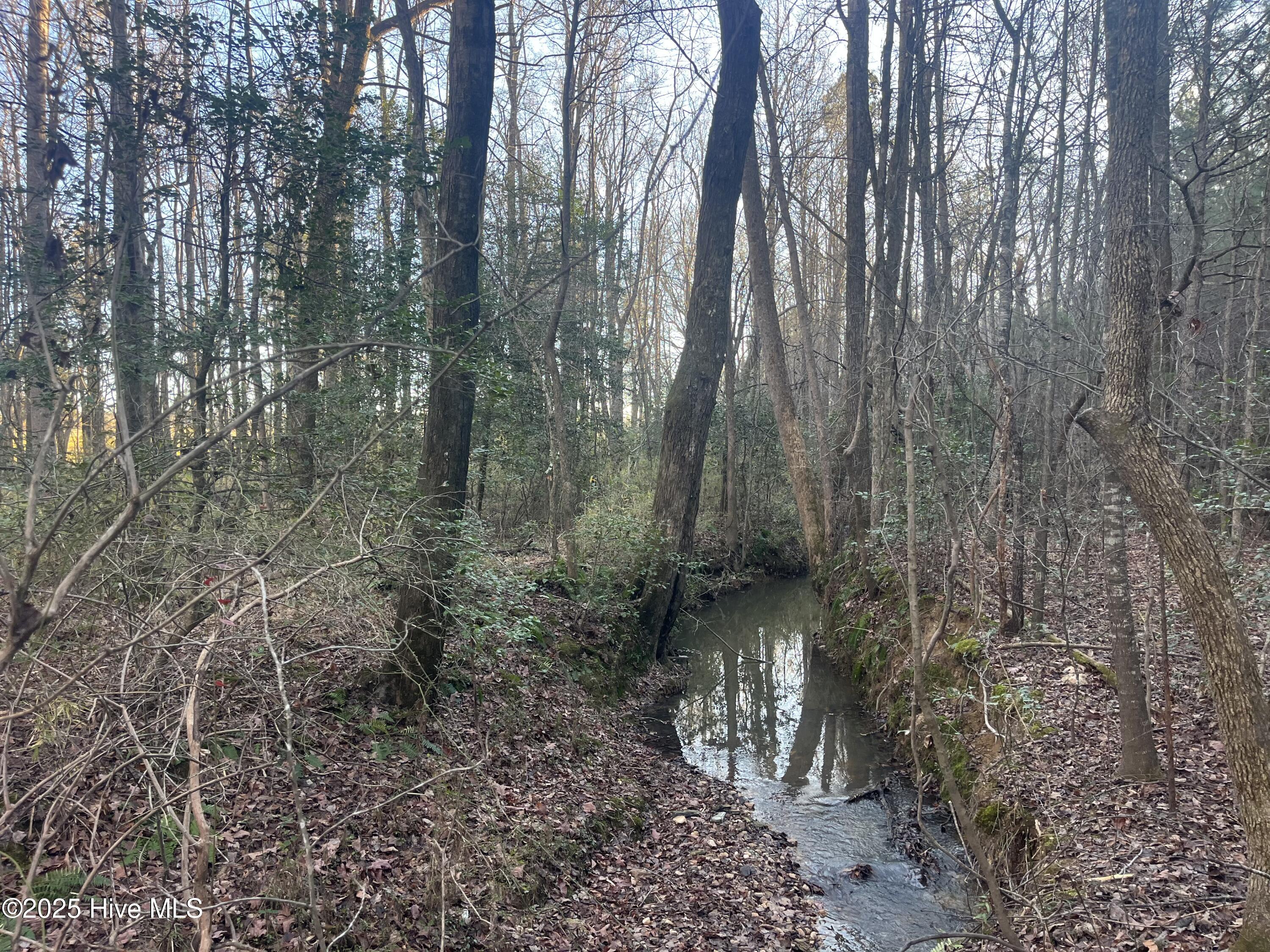 Tbd Bensalem Church Road Eagle Springs, NC 27242 - Photo 12 of 16 11