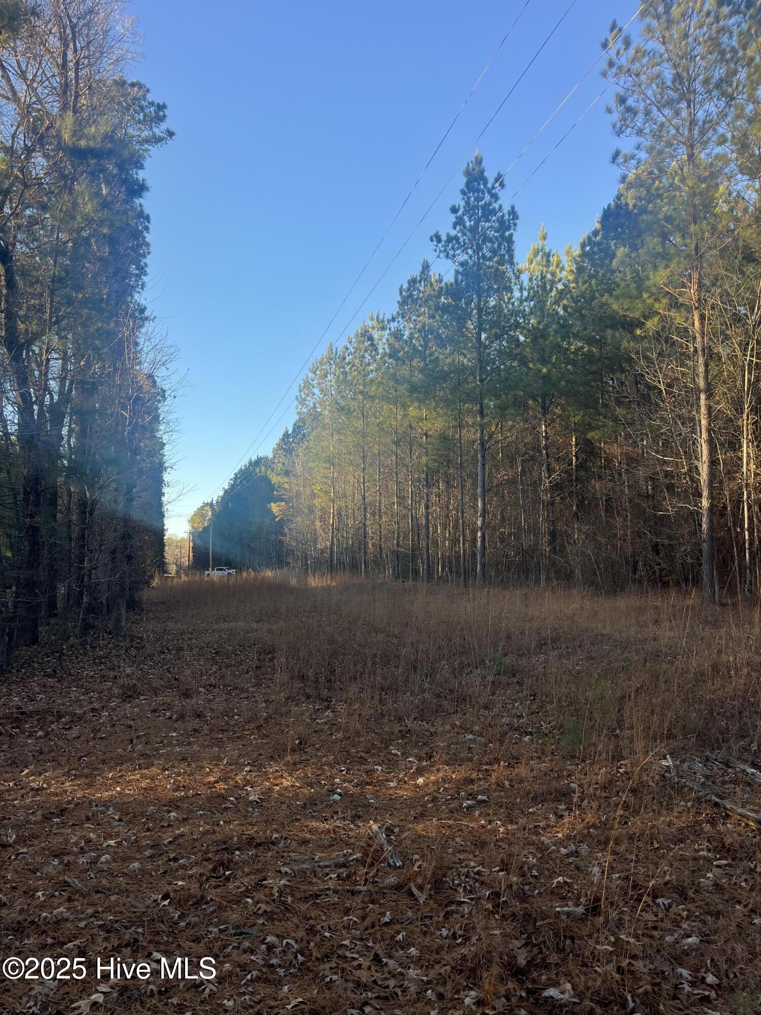 Tbd Bensalem Church Road Eagle Springs, NC 27242 - Photo 13 of 16 12