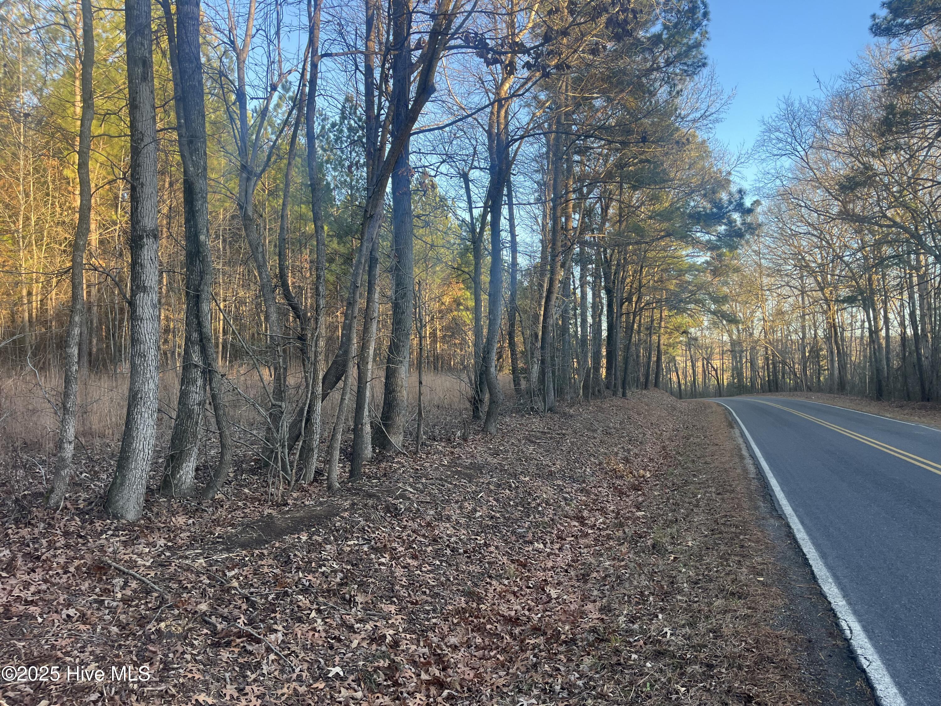 Tbd Bensalem Church Road Eagle Springs, NC 27242 - Photo 3 of 16 2