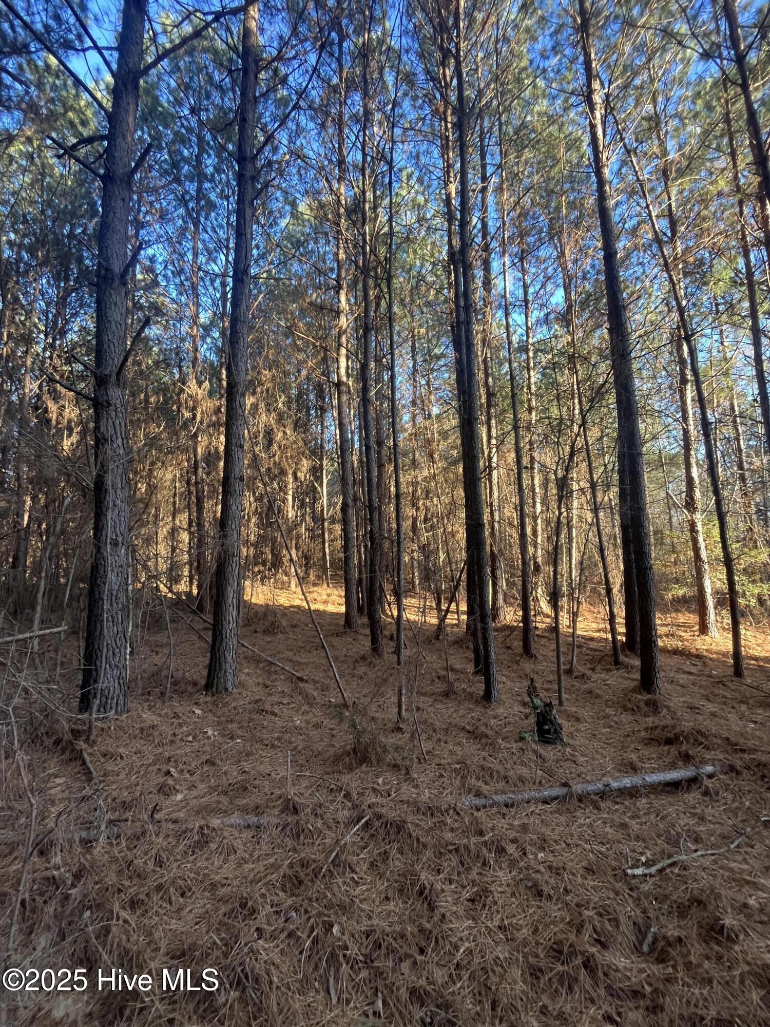 Tbd Bensalem Church Road Eagle Springs, NC 27242 - Photo 5 of 16 4