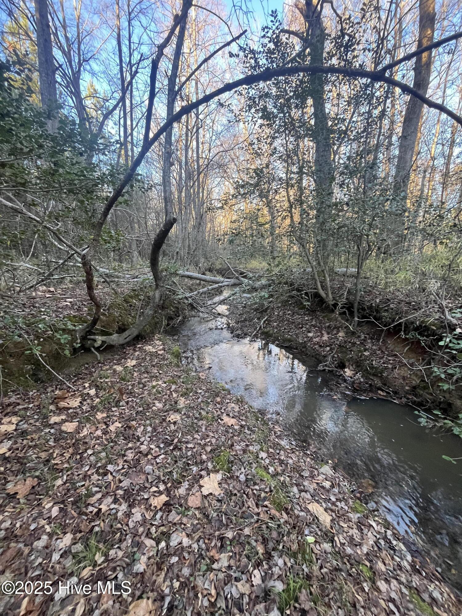 Tbd Bensalem Church Road Eagle Springs, NC 27242 - Photo 7 of 16 6