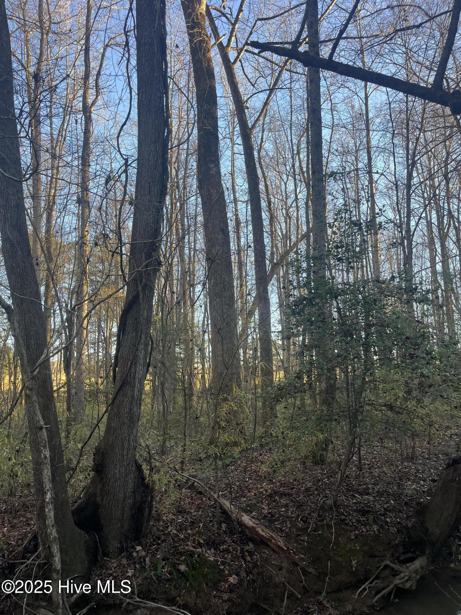 Tbd Bensalem Church Road Eagle Springs, NC 27242 - Photo 10 of 16 9