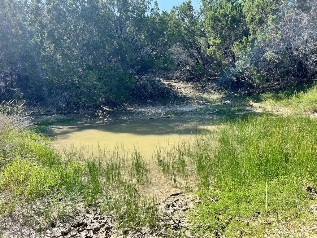 116 Winans Creek Road Bandera, TX 78003 - Photo 15 of 31