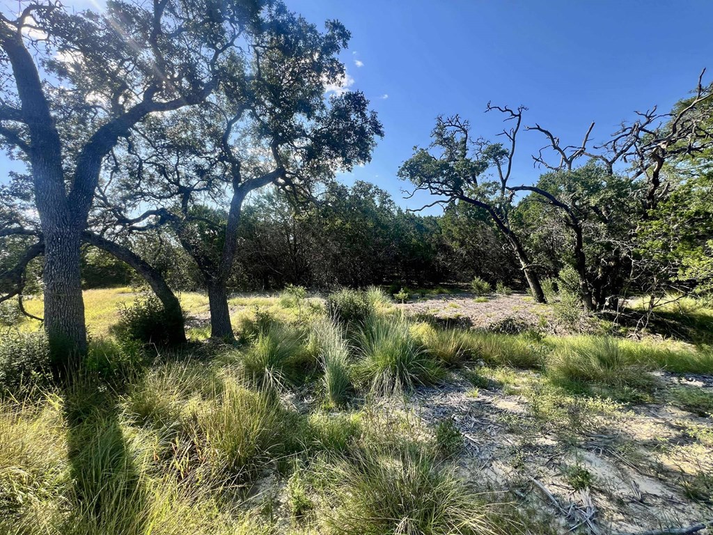 116 Winans Creek Road Bandera, TX 78003 - Photo 16 of 31