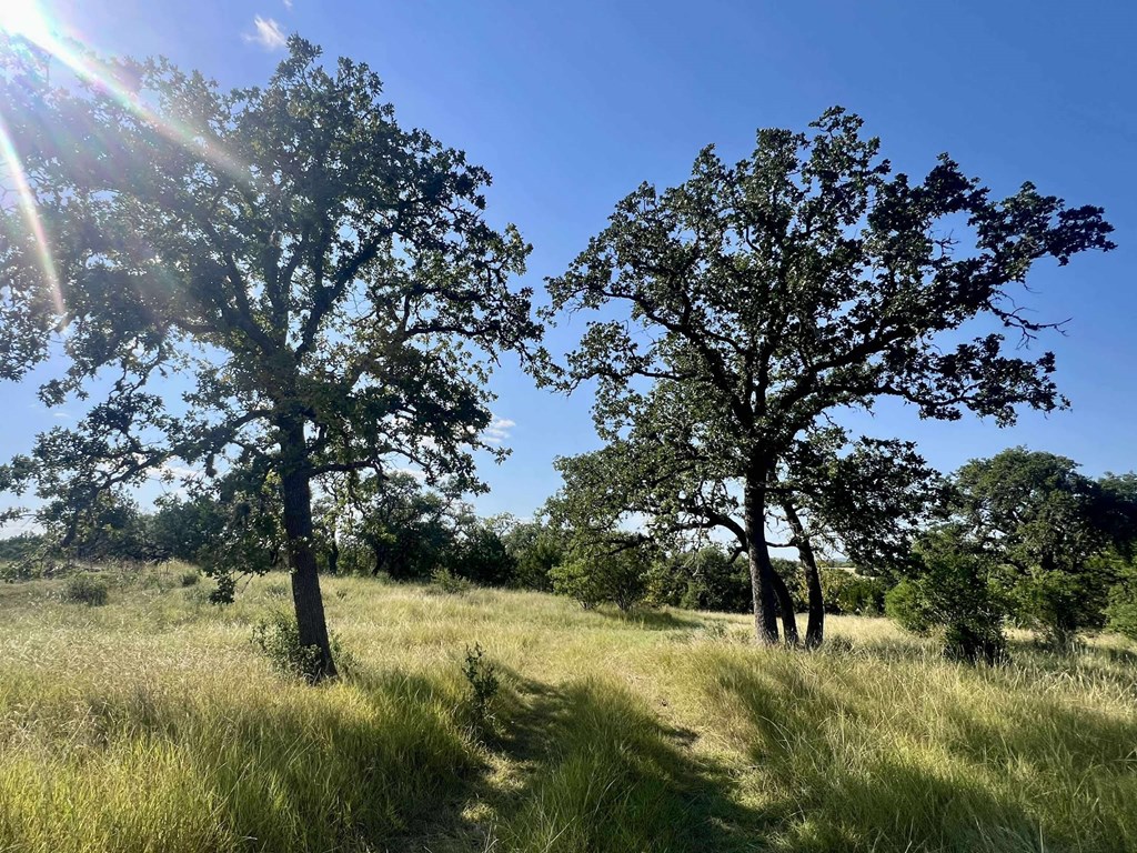 116 Winans Creek Road Bandera, TX 78003 - Photo 18 of 31