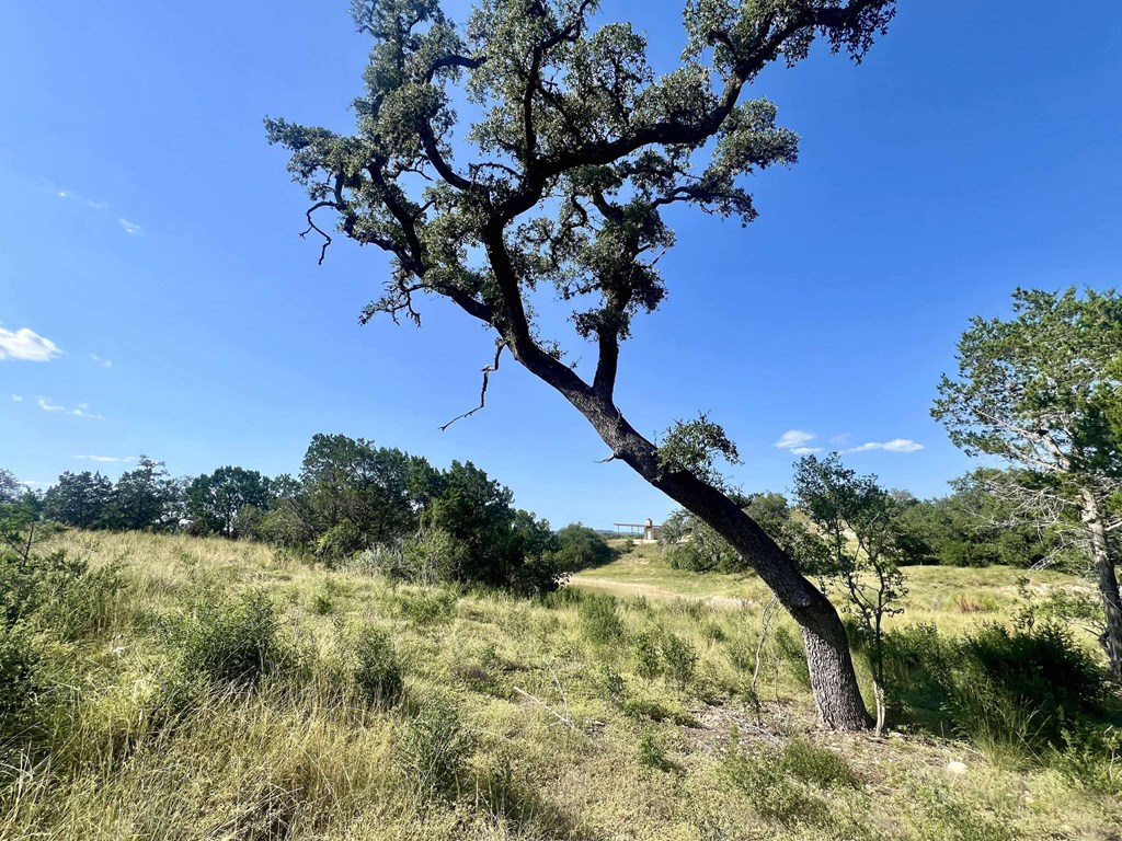 116 Winans Creek Road Bandera, TX 78003 - Photo 19 of 31