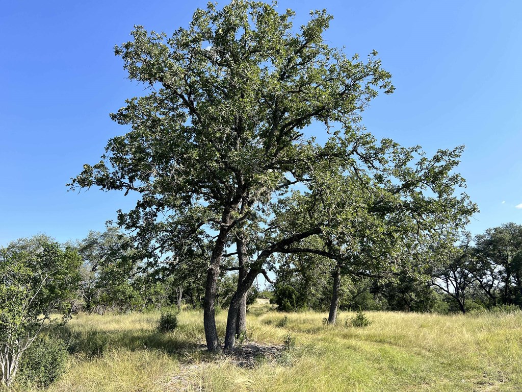 116 Winans Creek Road Bandera, TX 78003 - Photo 20 of 31