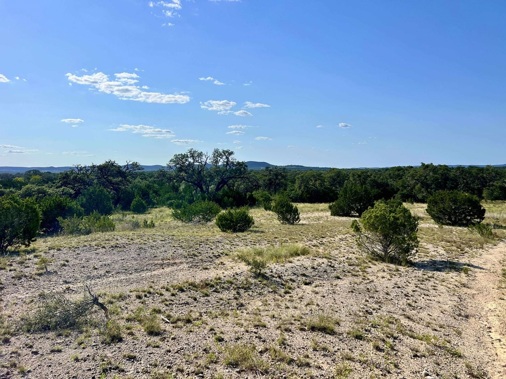 116 Winans Creek Road Bandera, TX 78003 - Photo 21 of 31