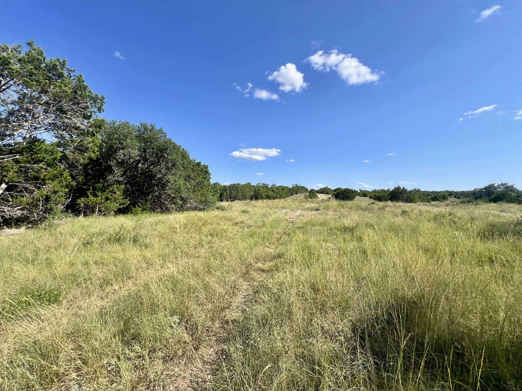 116 Winans Creek Road Bandera, TX 78003 - Photo 22 of 31