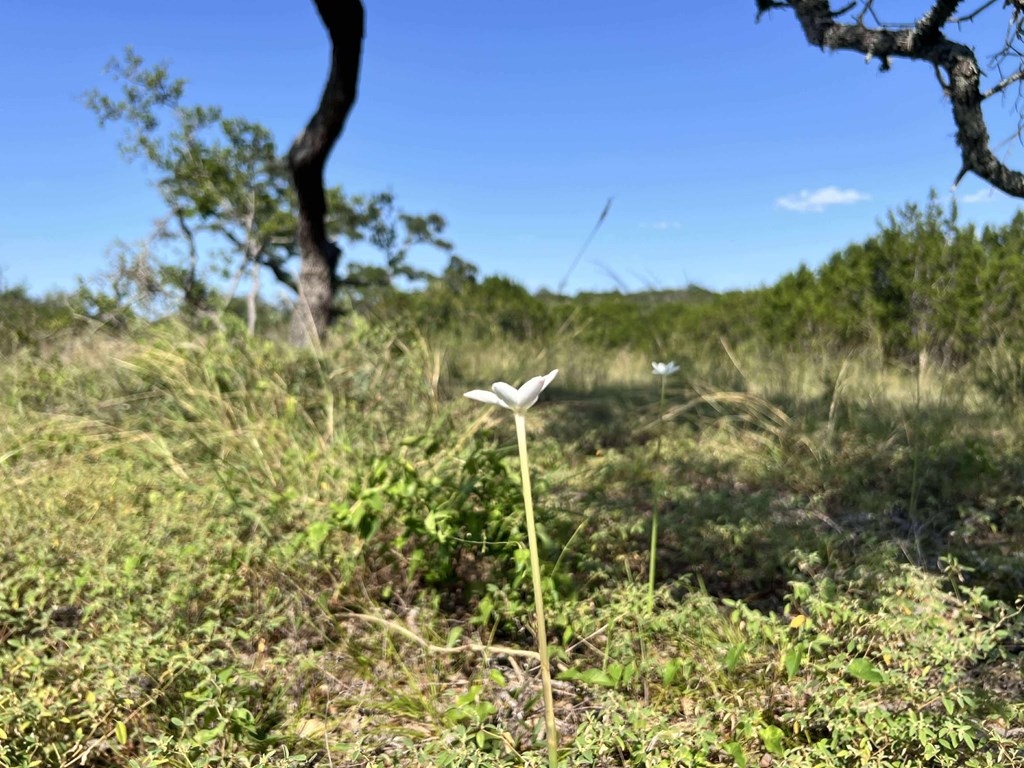 116 Winans Creek Road Bandera, TX 78003 - Photo 31 of 31