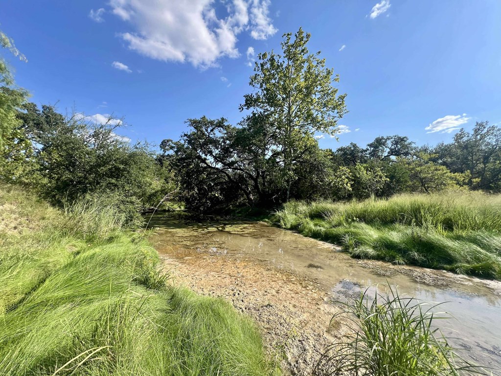 116 Winans Creek Road Bandera, TX 78003 - Photo 9 of 31
