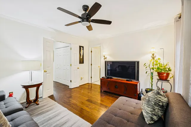 a living room with a couch and potted plant
