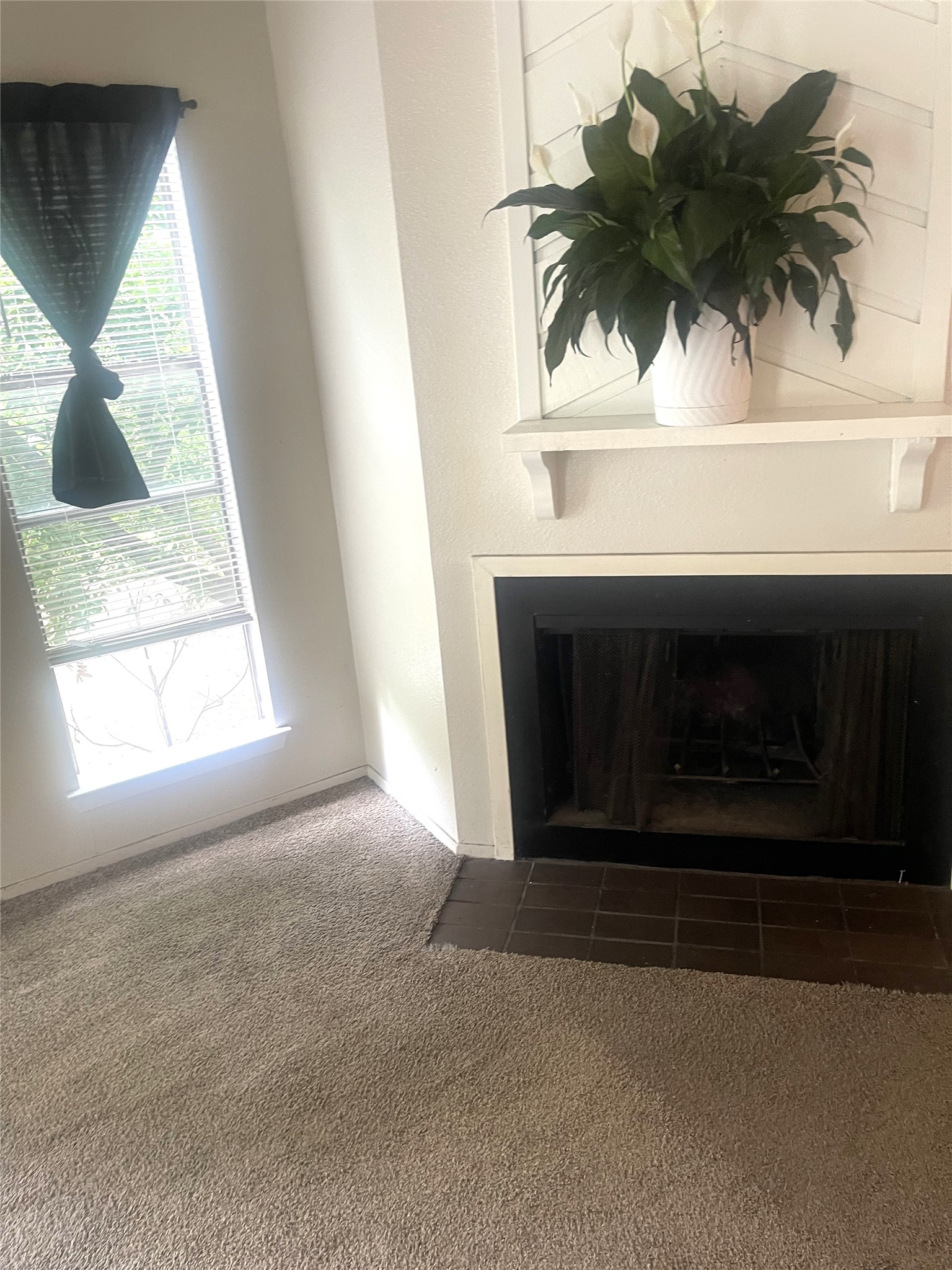 2005 West Loop, Unit D1 Austin, TX 78758 - Photo 13 of 31