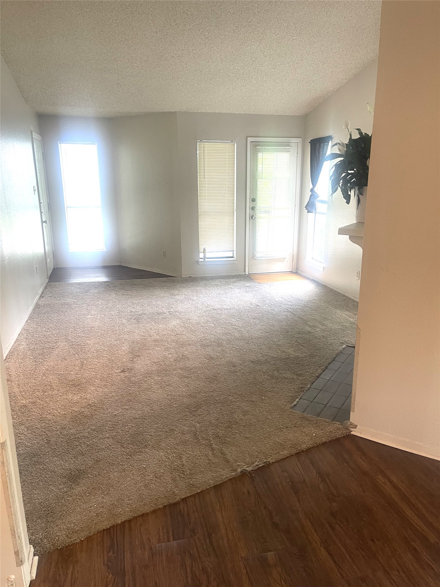 2005 West Loop, Unit D1 Austin, TX 78758 - Photo 15 of 31 an empty room with wooden floor and windows