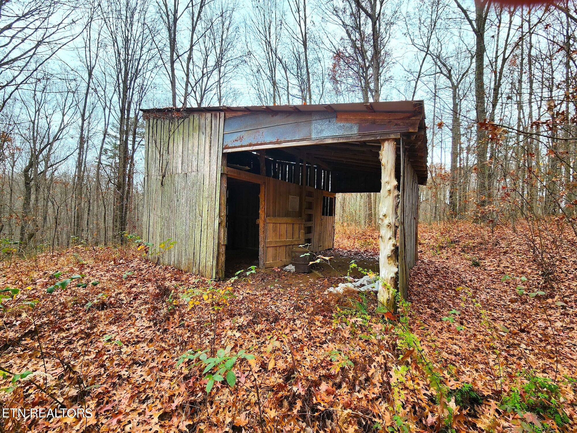 1006 Joe Barnett Road Jamestown, TN 38556 - Photo 13 of 40 Gallery Image 13