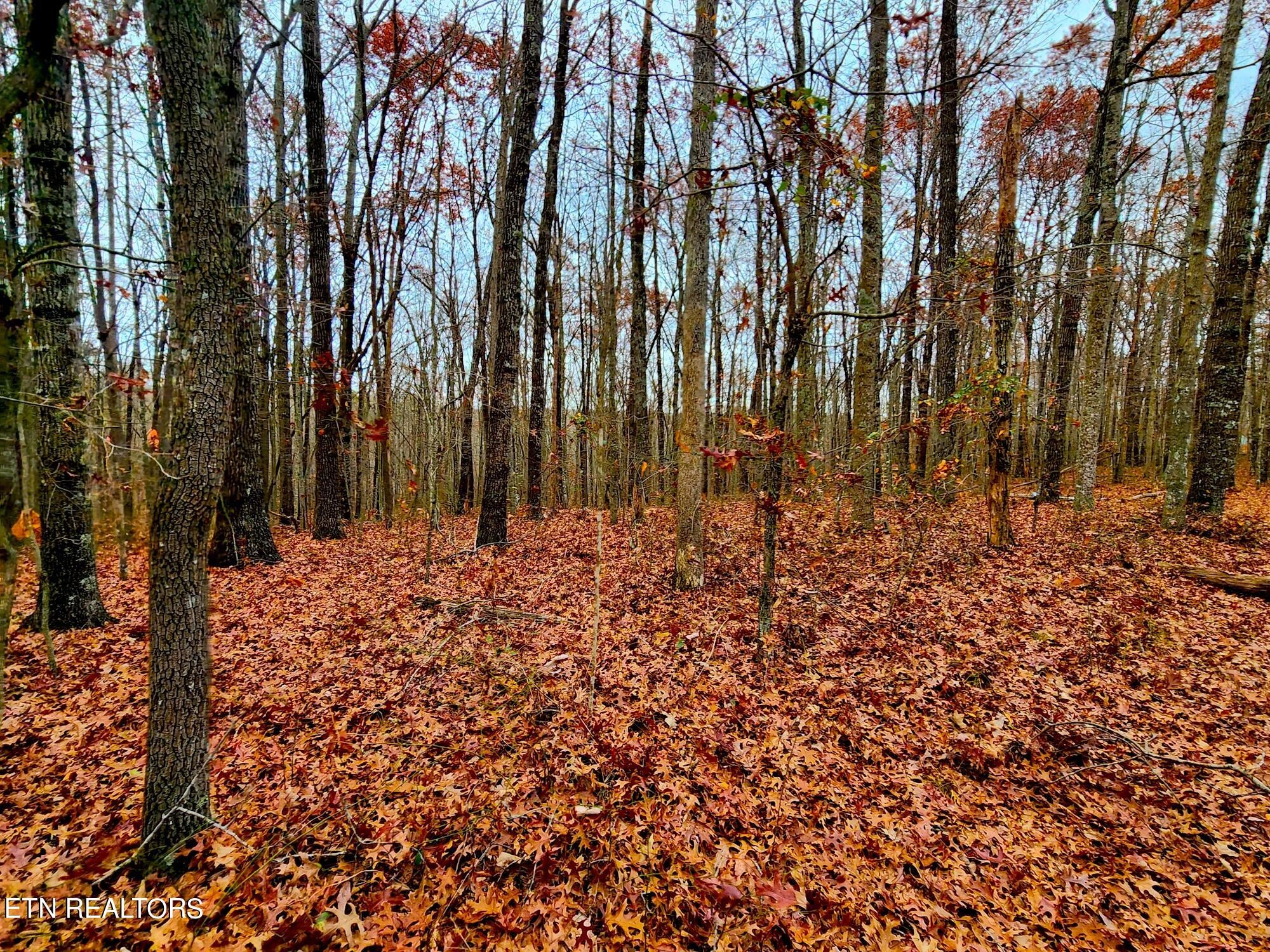 1006 Joe Barnett Road Jamestown, TN 38556 - Photo 23 of 40 Gallery Image 23