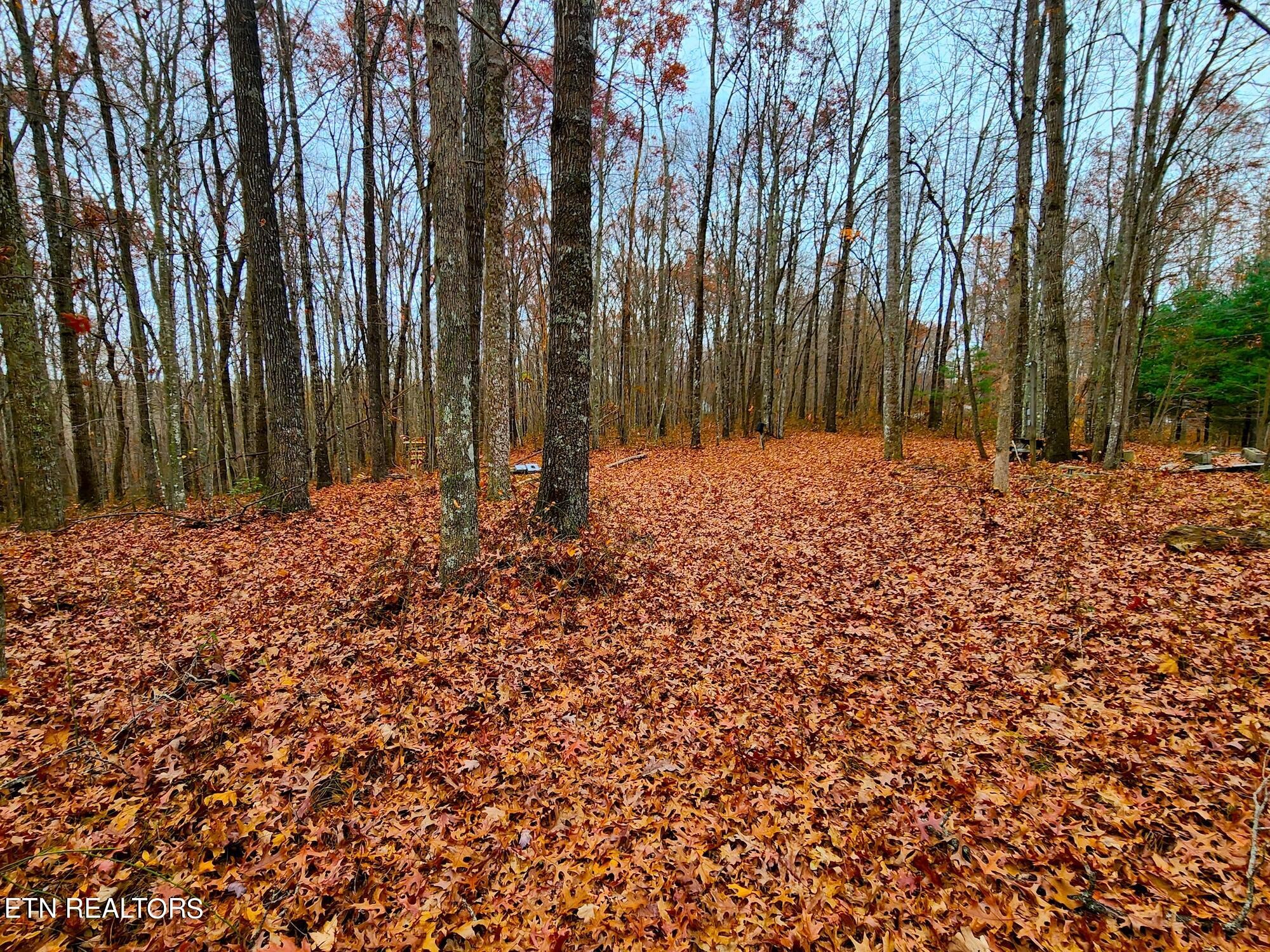 1006 Joe Barnett Road Jamestown, TN 38556 - Photo 24 of 40 Gallery Image 24