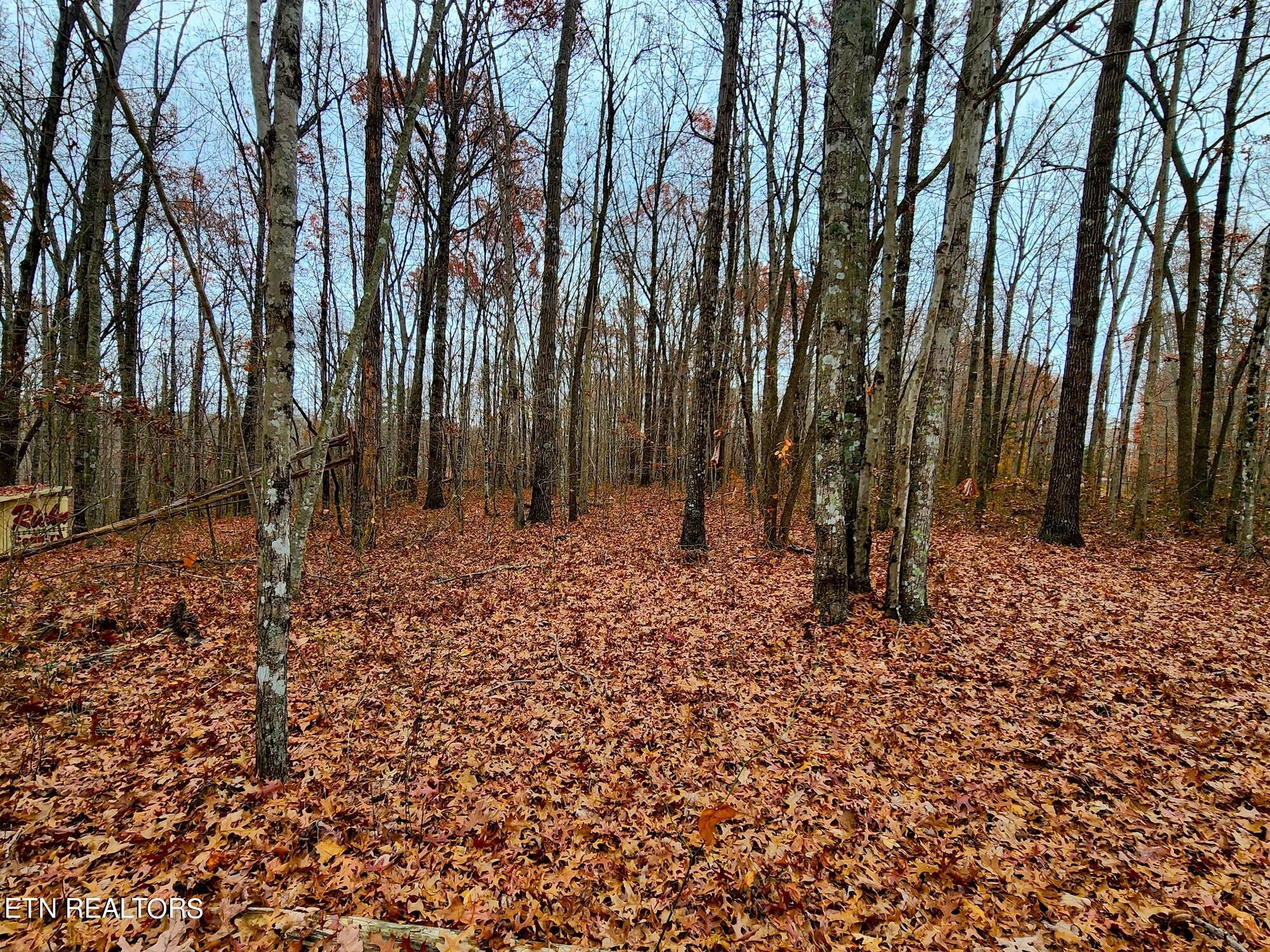 1006 Joe Barnett Road Jamestown, TN 38556 - Photo 25 of 40 Gallery Image 25