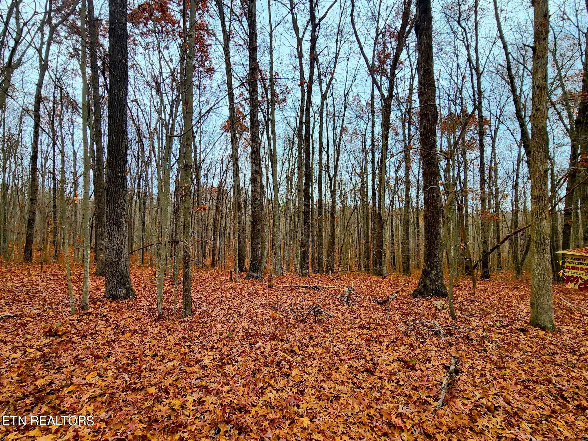1006 Joe Barnett Road Jamestown, TN 38556 - Photo 28 of 40 Gallery Image 28
