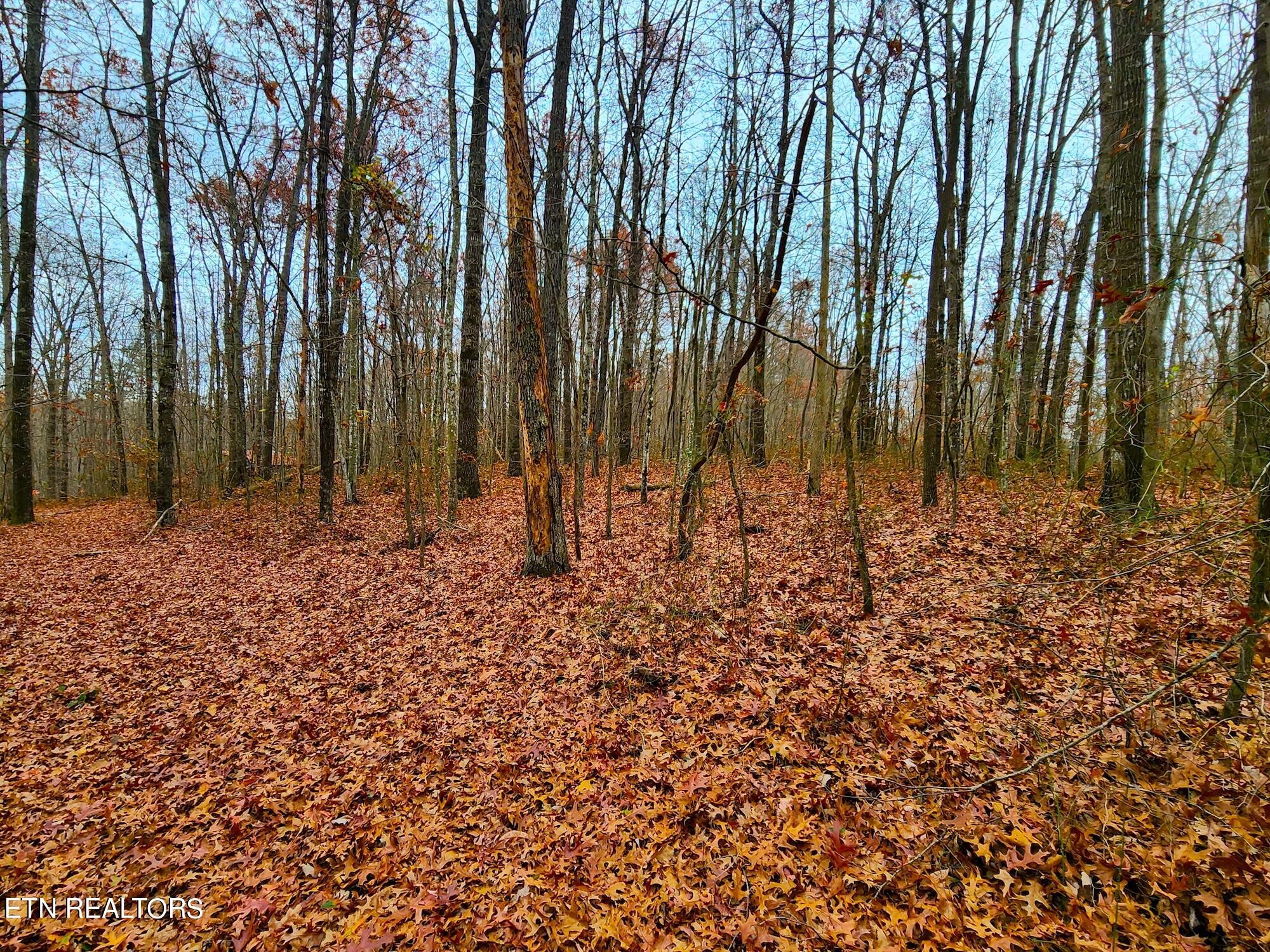 1006 Joe Barnett Road Jamestown, TN 38556 - Photo 29 of 40 Gallery Image 29