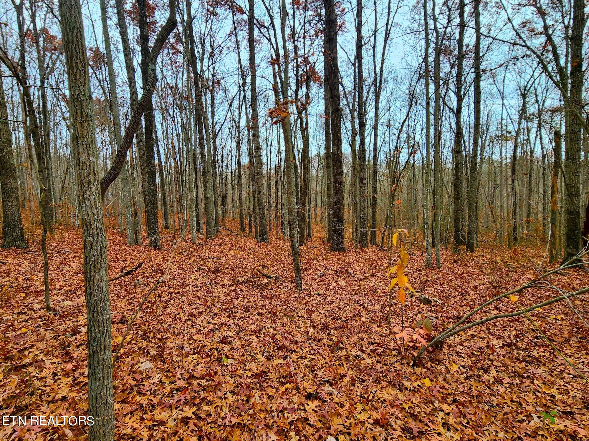 1006 Joe Barnett Road Jamestown, TN 38556 - Photo 31 of 40 Gallery Image 31