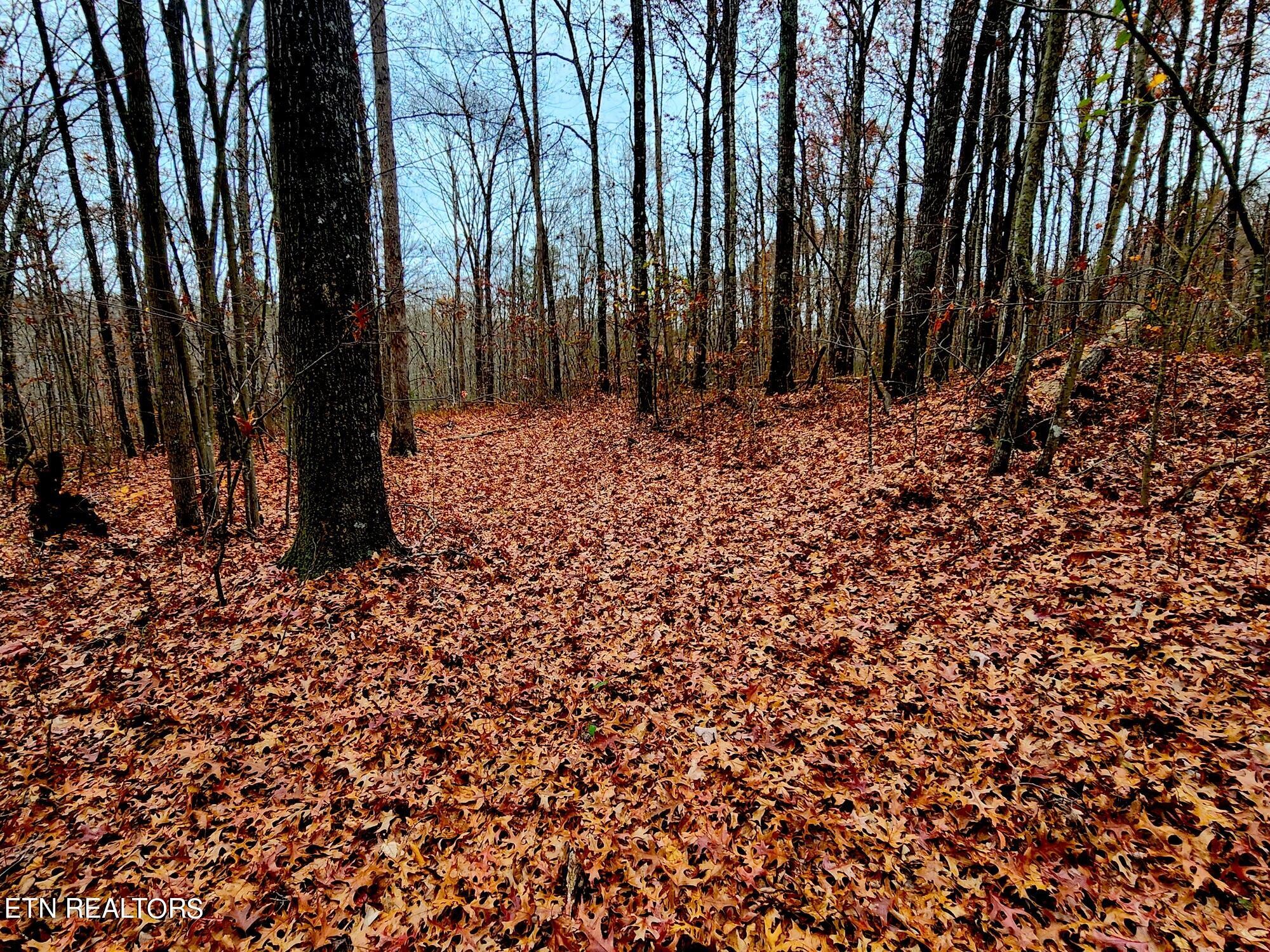 1006 Joe Barnett Road Jamestown, TN 38556 - Photo 35 of 40 Gallery Image 35