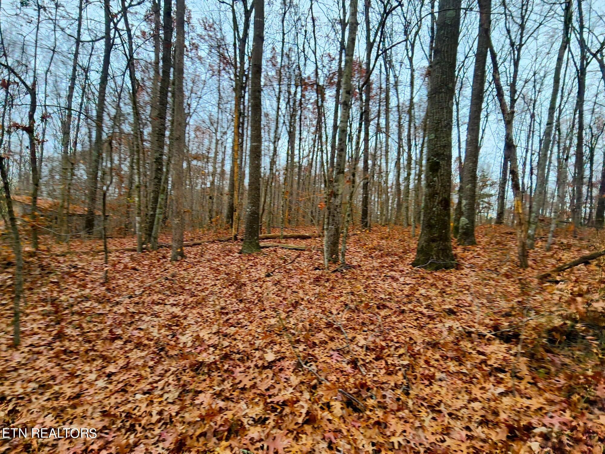 1006 Joe Barnett Road Jamestown, TN 38556 - Photo 36 of 40 Gallery Image 36