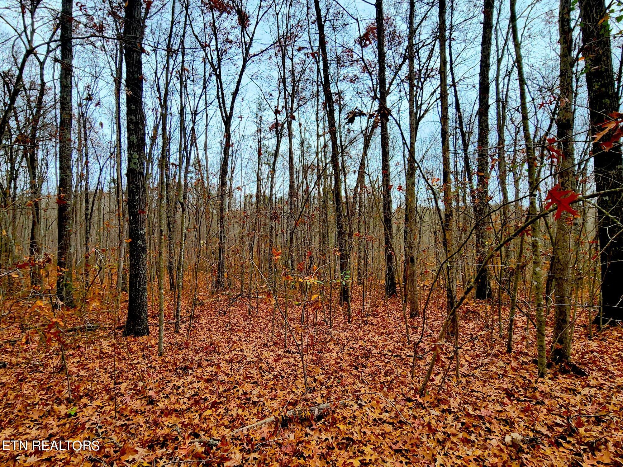 1006 Joe Barnett Road Jamestown, TN 38556 - Photo 37 of 40 Gallery Image 37