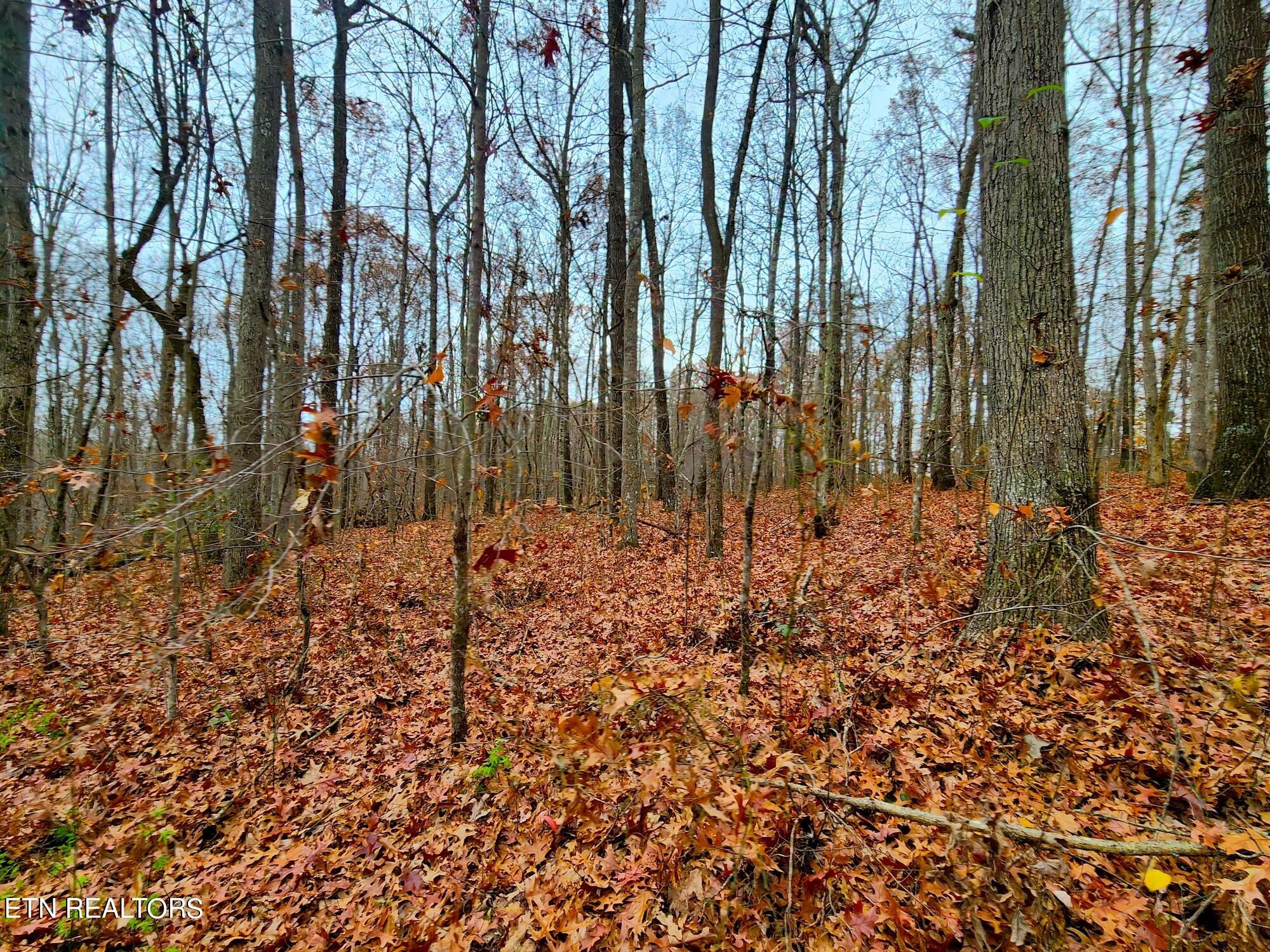 1006 Joe Barnett Road Jamestown, TN 38556 - Photo 40 of 40 Gallery Image 40