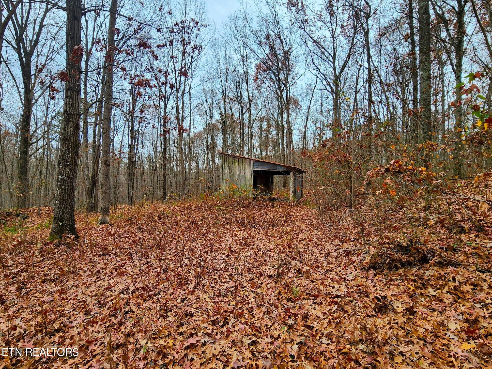1006 Joe Barnett Road Jamestown, TN 38556 - Photo 5 of 40 Gallery Image 5