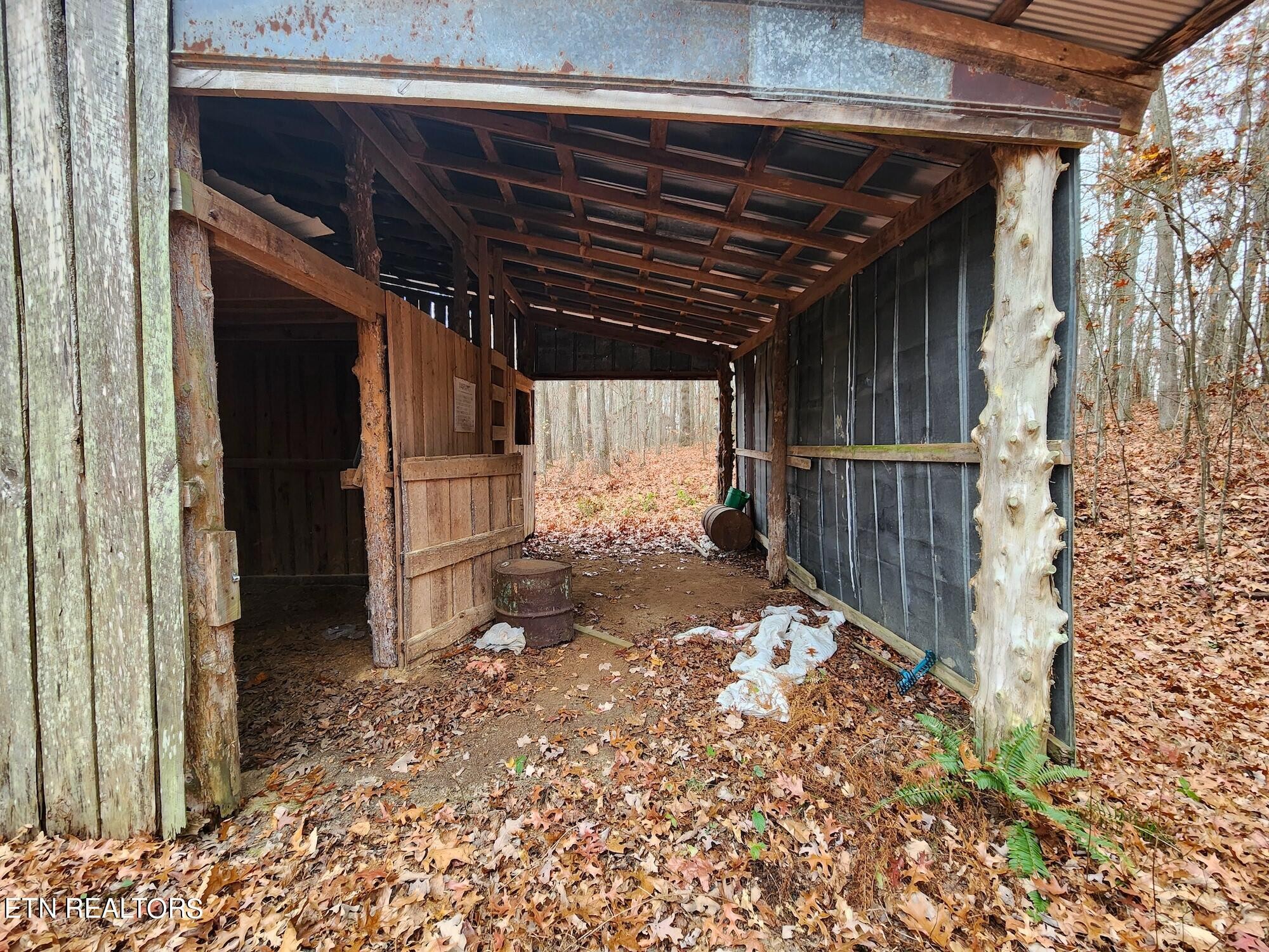 1006 Joe Barnett Road Jamestown, TN 38556 - Photo 6 of 40 Gallery Image 6