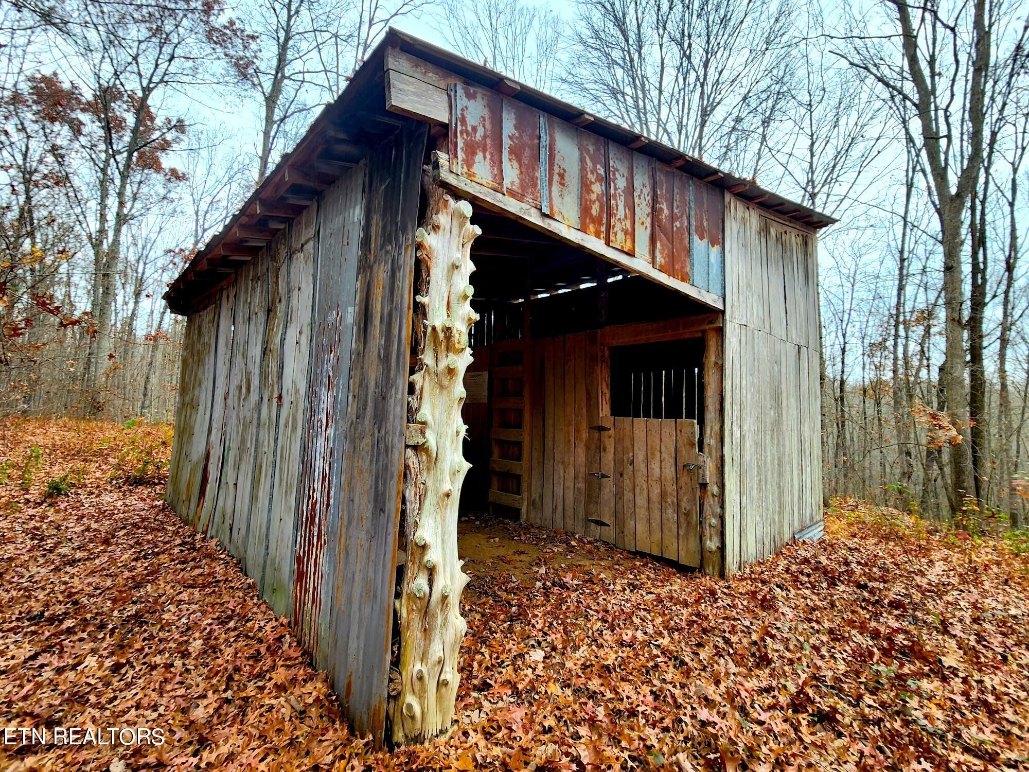 1006 Joe Barnett Road Jamestown, TN 38556 - Photo 8 of 40 Gallery Image 8