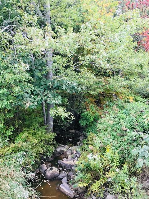 21 Perkins Road Dresden, ME 04342 - Photo 12 of 12 brook