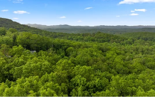 Price Road Blue Ridge, GA 30513 - Photo 14 of 43 Additional View