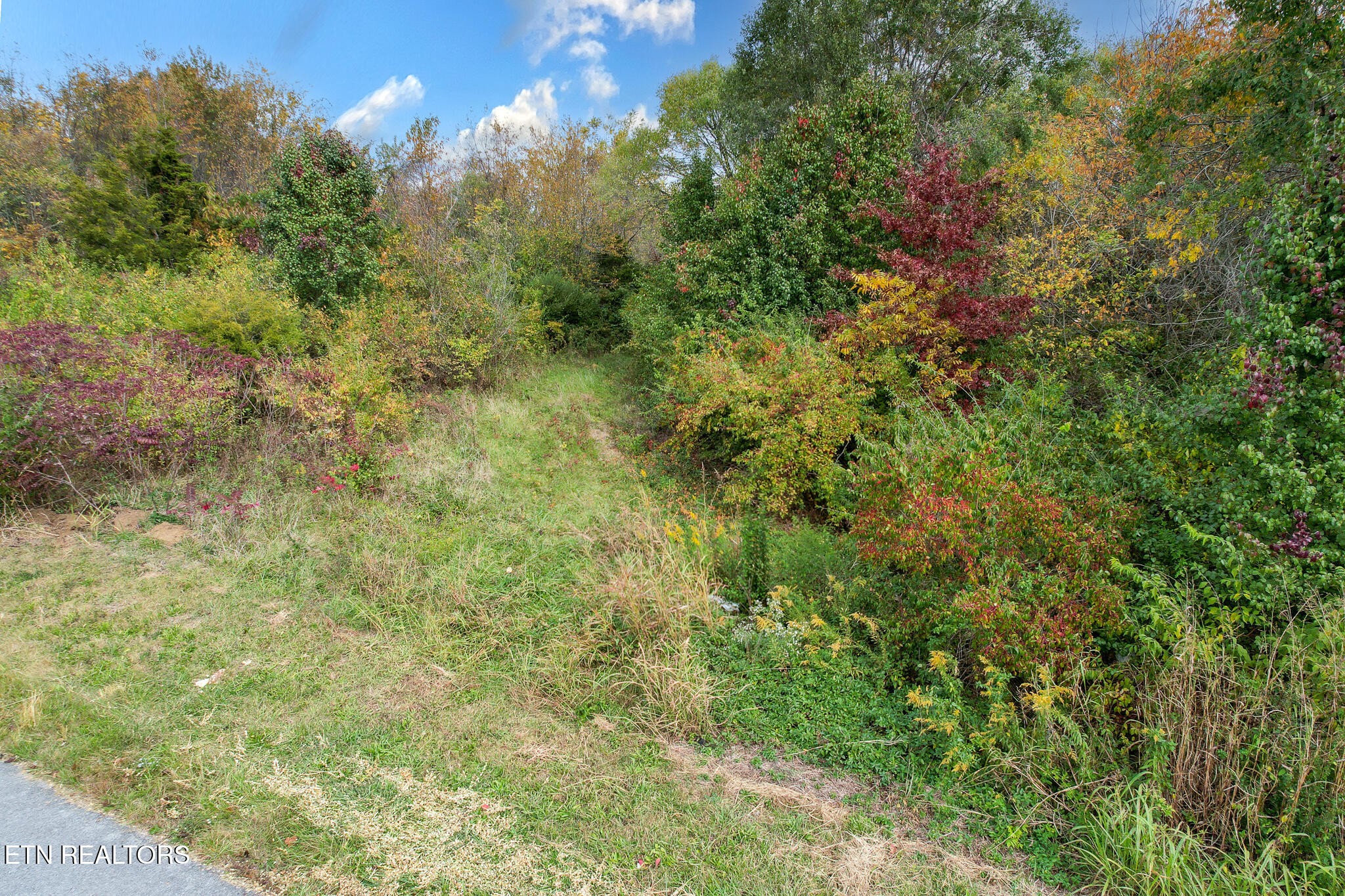 0 Morelock North 25e Road Morristown, TN 37814 - Photo 19 of 32 Gallery Image 19