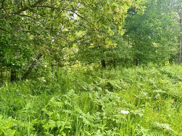 $35,000 | Lot 2-blk Eagle Drive Northwest, Walker, MN 56484