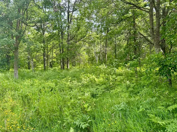 $35,000 | Lot 2-blk Eagle Drive Northwest, Walker, MN 56484