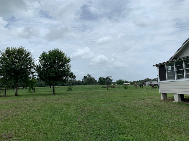 29231 Sheffield Road Waller, TX 77484 - Photo 13 of 18 a view of a grassy field