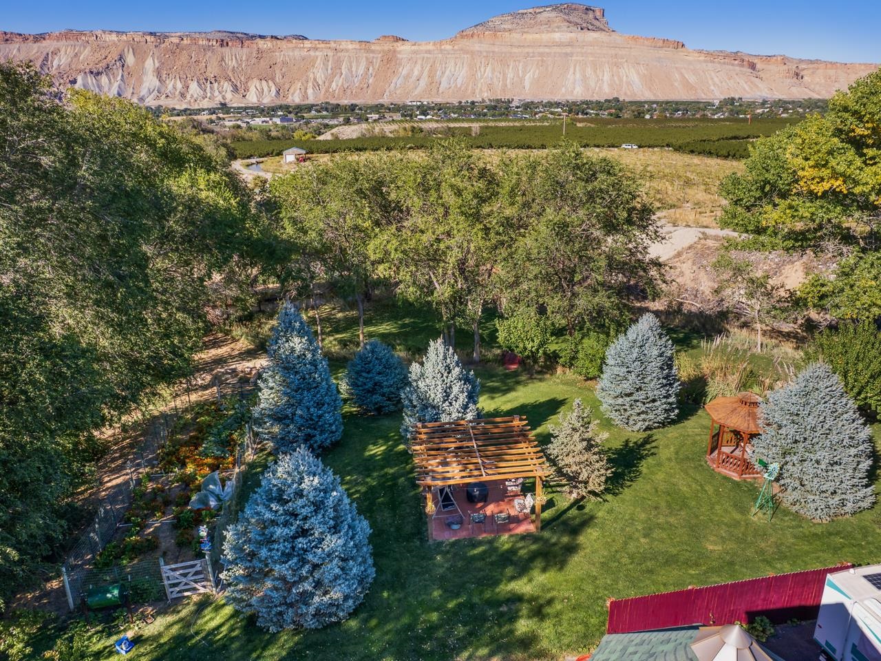 3694 F Road Palisade, CO 81526 - Photo 41 of 42