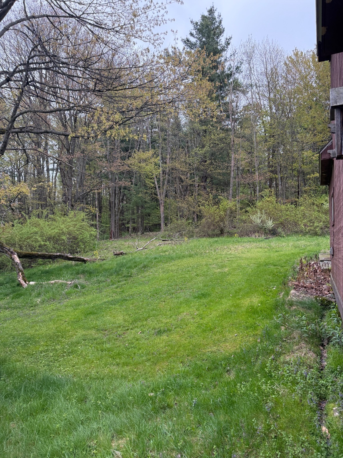 884 Bunn Hill Road Vestal, NY 13850 - Photo 12 of 25