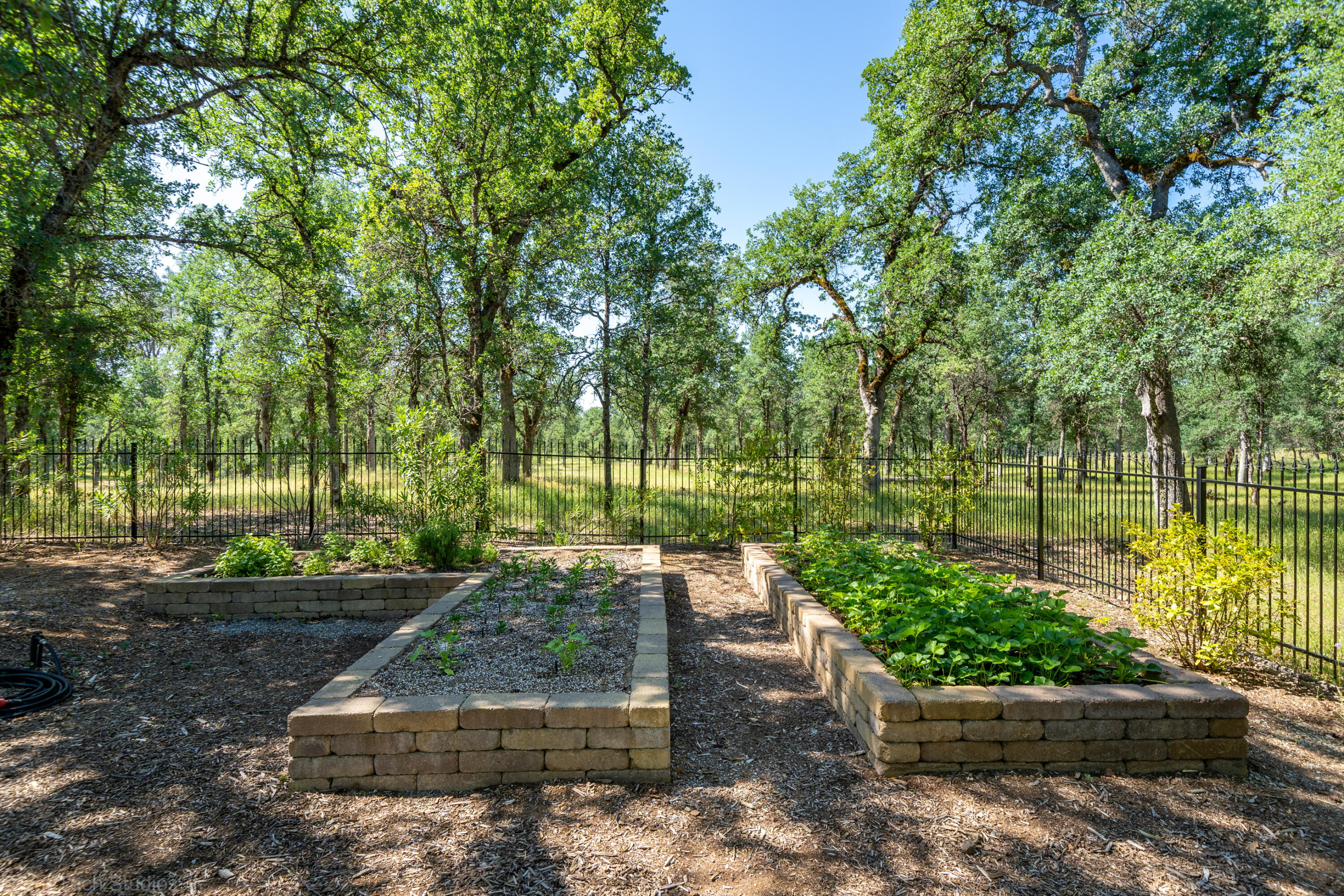 13096 Tierra Heights Road Redding, CA 96003 - Photo 59 of 105 Exterior-85